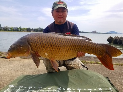 鯉釣りのことなら【NG-CARP】 - 鯉釣り専用のボイリーやタックルなどの