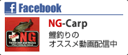 Facebook NG-CARP